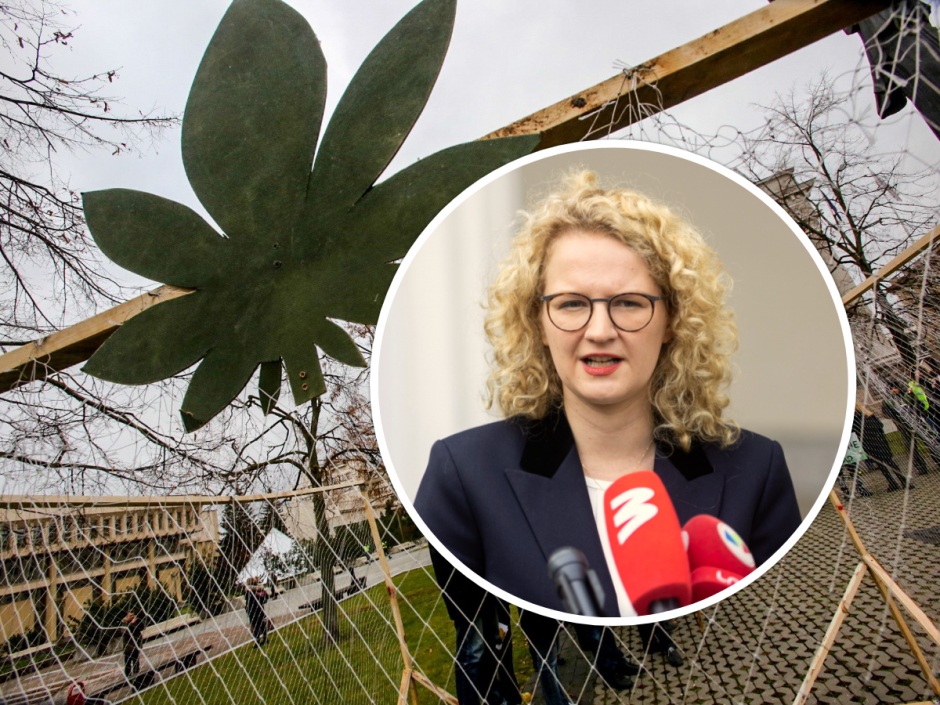 A. Armonaitė po balsavimo dėl kanapių: vakarietiškos vertybės sunkiai skinasi kelią