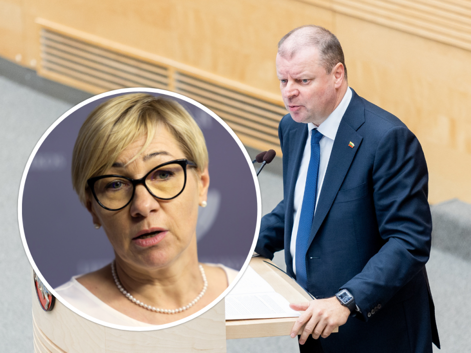 S. Skvernelis: opozicija prašys ministrės atsakyti į klausimus dėl tarybos išmokų