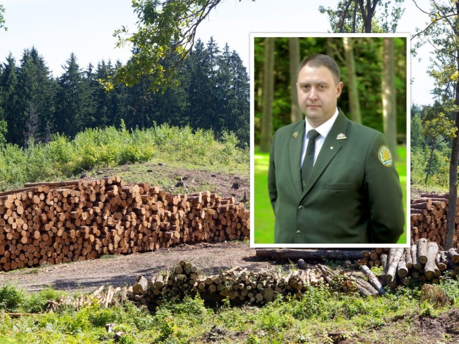 V. Kaubrė kol kas nepaskirtas miškų urėdu, laukiama STT pažymos