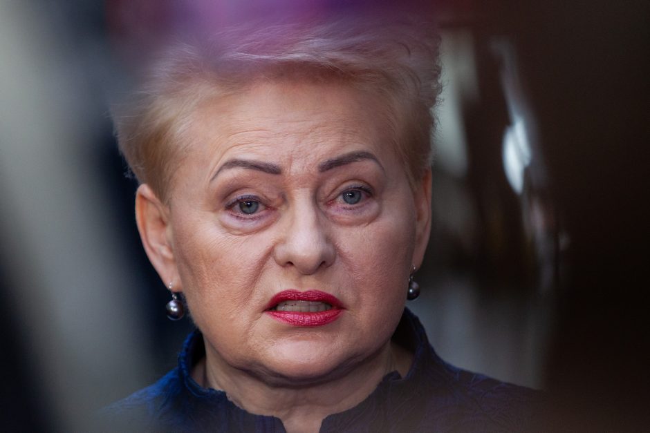 D. Grybauskaitė įvertino batalijas Seime: jų pareiga – rasti sprendimus ir dirbti savo darbą