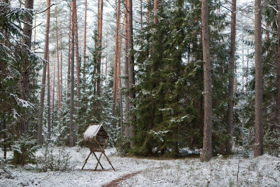 Trys dešimtys Seimo narių dėl urėdijų reformos kreipėsi į KT