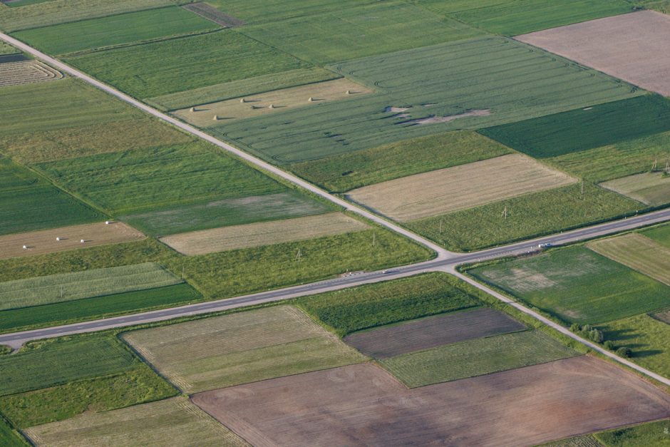 Paimamą žemę norima kompensuoti miškų plotais