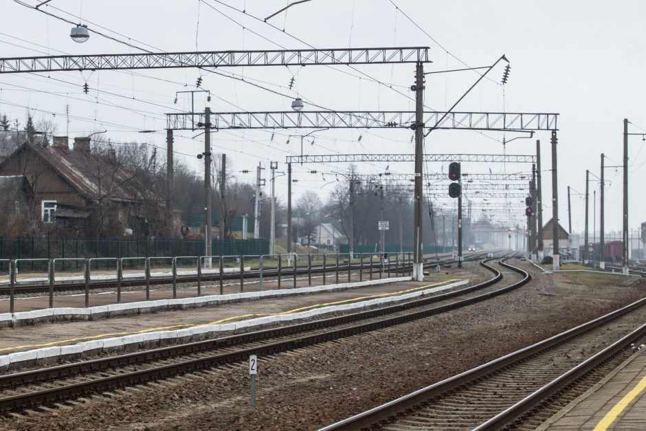 Lietuvos gamtos fondas pritaria estų peticijai dėl „Rail Balticos“
