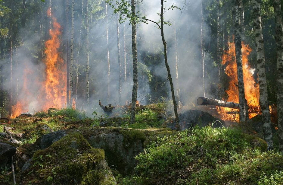 Dėl gaisrų pavojaus miškuose – skubus pasitarimas