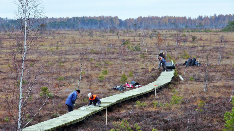 Aukštumalos pelkė – akį džiuginantys žemės plaučiai