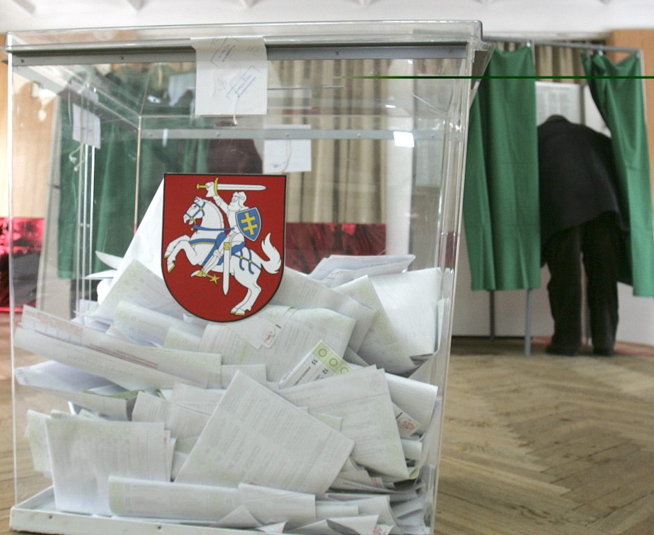Parlamentarai neleidžia Seimo rinkimuose dalyvauti visuomenininkų komitetams