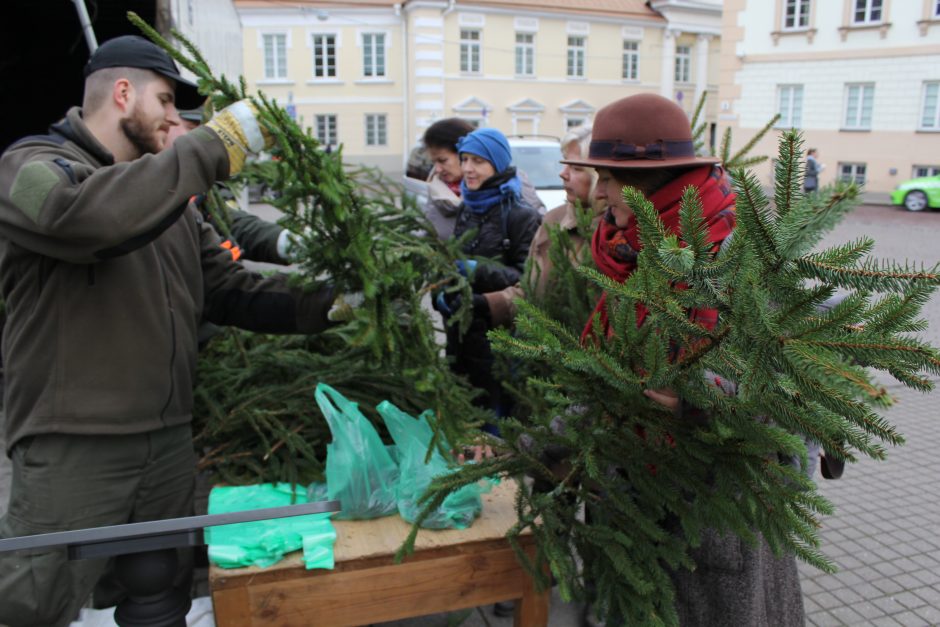 Miškininkai išdalino tūkstančius eglučių šakų ir 10 tonų kankorėžių