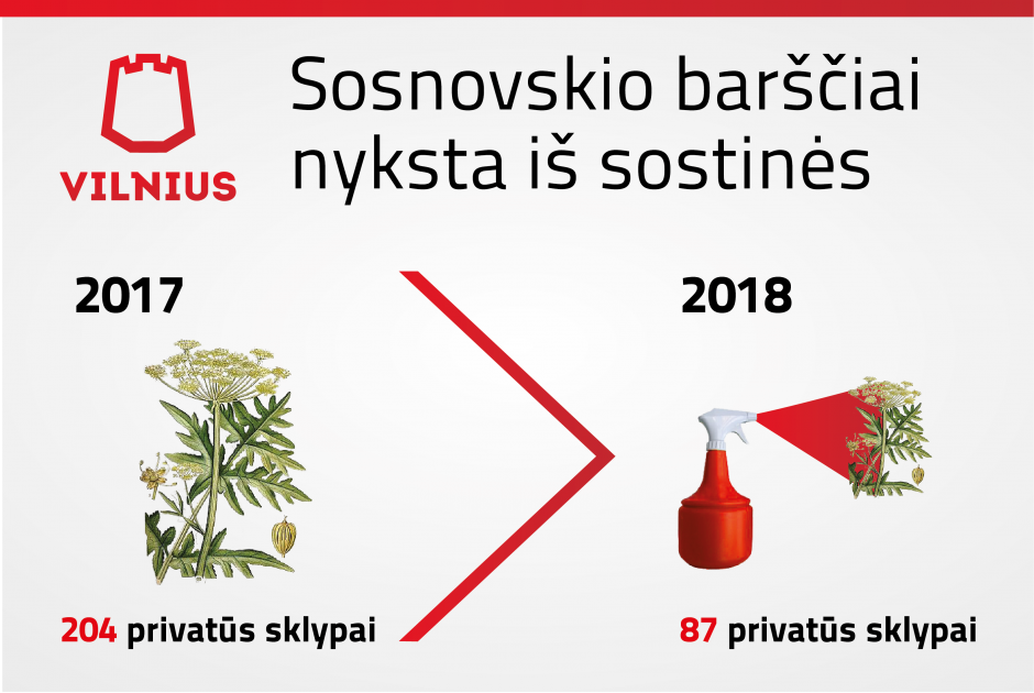 Vilnius džiaugiasi sėkminga kova su pavojingais Sosnovskio barščiais