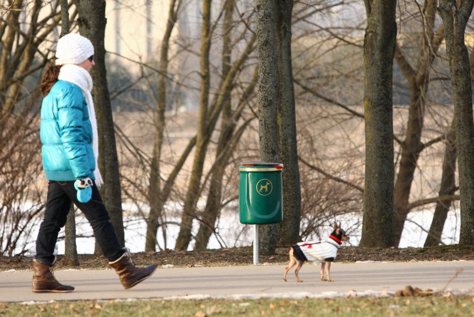 Pareigūnai auklės šunų kakučių nesurenkančius vilniečius