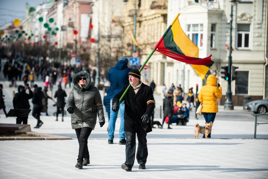 Vyriausybė patvirtino Piliečių rengimo pilietiniam pasipriešinimui strategiją