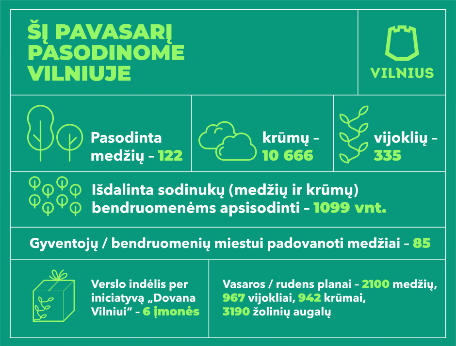 Akį džiugina žalias Vilnius: per pusmetį – tūkstančiai sodinukų