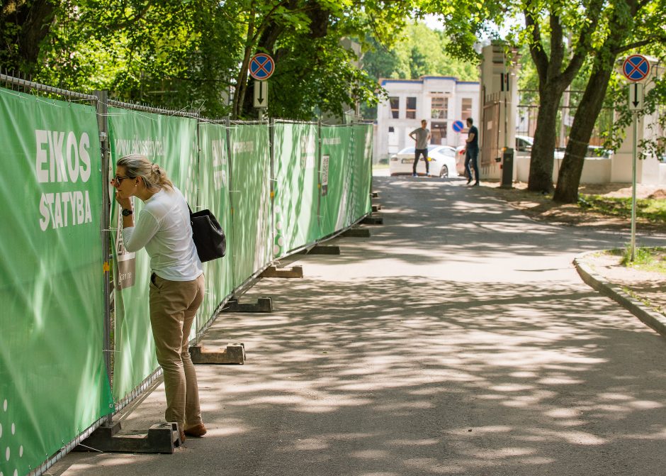 Virsta senieji medžiai: įstatymuose ištrintas žmoniškumas?