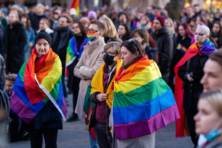 Partnerystės šalininkai ir priešininkai siūlo tikslinti civilinės sąjungos sąvoką