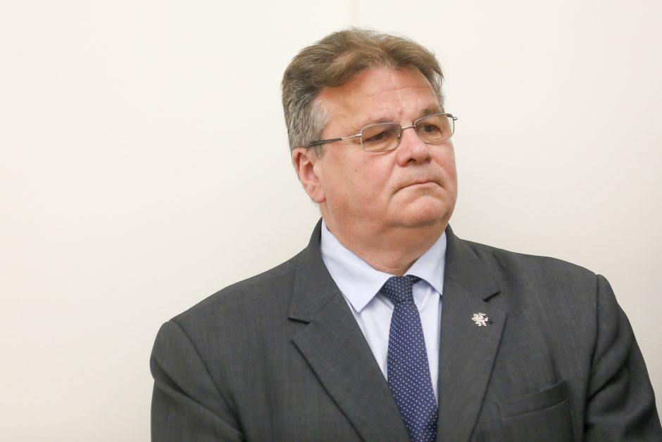 L. Linkevičius po rinkimų norėtų toliau darbuotis užsienio politikos srityje