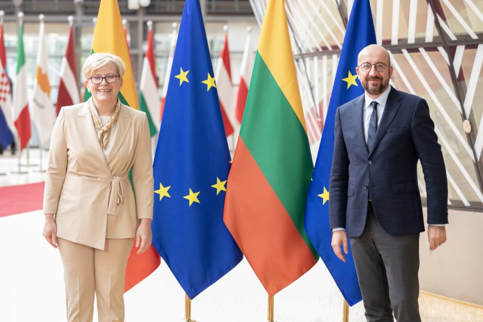 I. Šimonytė: Lietuvai ir pasauliui reikia stiprios ir lyderiaujančios ES