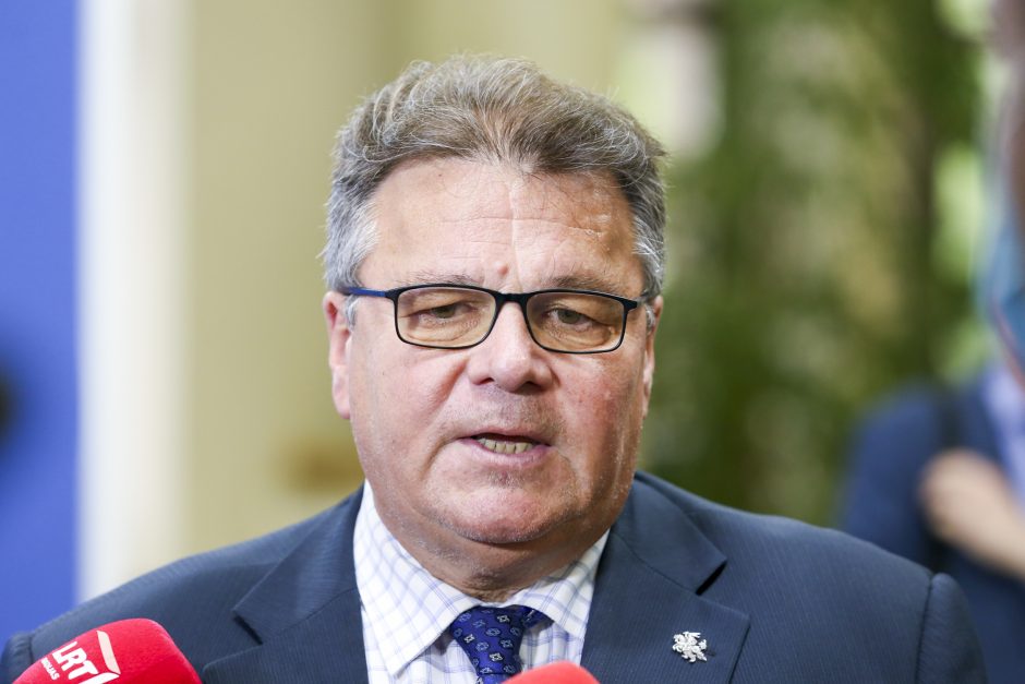 L. Linkevičius dėl lotyniškų raidžių dokumentuose: tai teigiamas žingsnis santykiuose su Lenkija