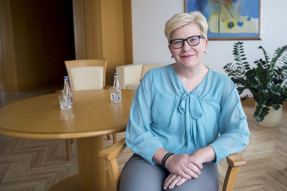 Premjerė: G. Landsbergis yra puikus ministras (interviu)