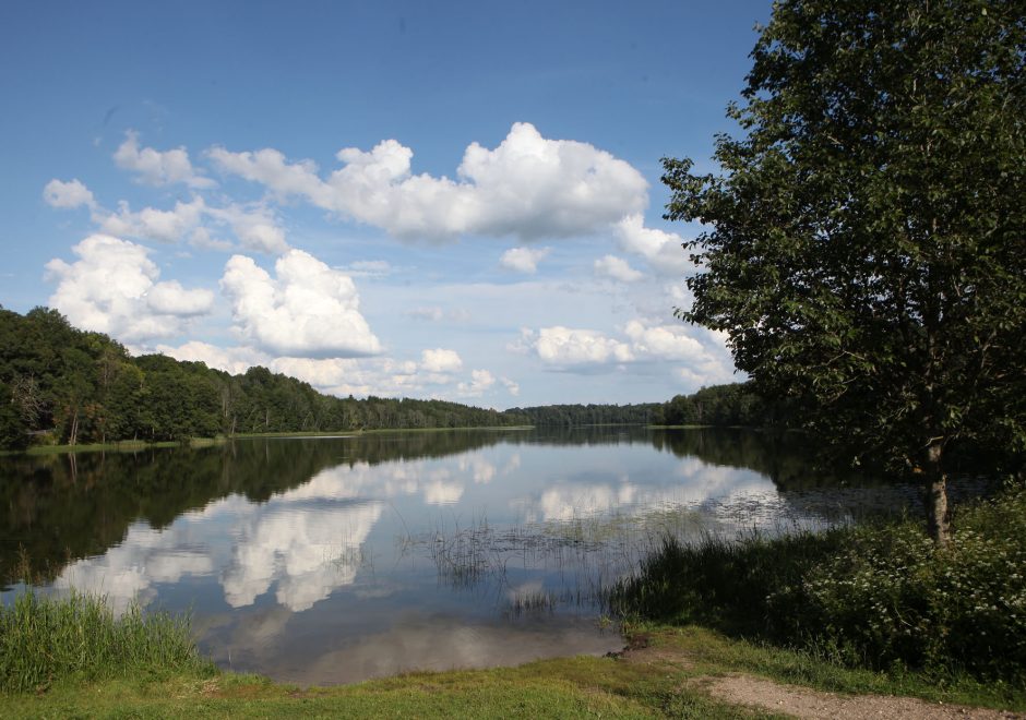 Medinio tilto per Asvejos ežerą remontas kainuos 1,6 mln. eurų