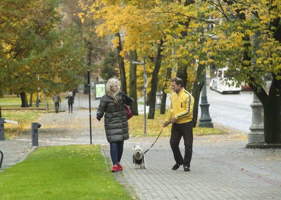 Orai: artimiausios dienos – dar šiltos, naktimis šalnų nenumatoma