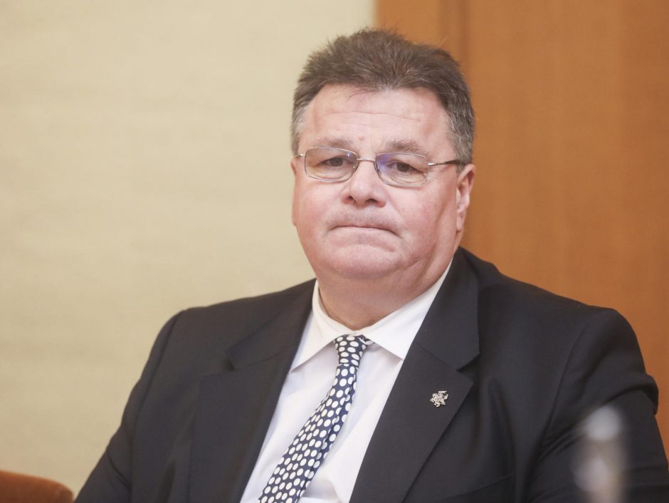 L. Linkevičius: Lietuva siūlo Baltarusijai alternatyvą naftai ir dujoms iš Rusijos