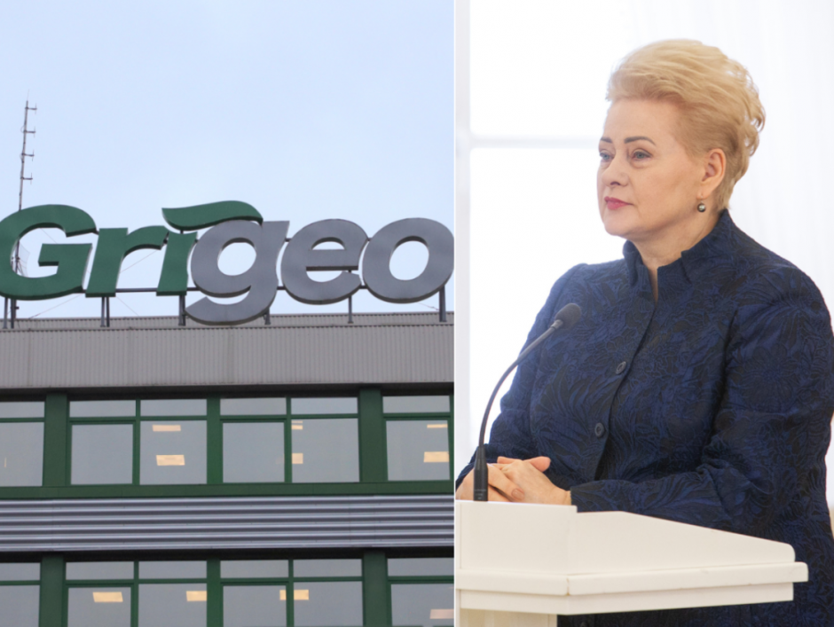 D. Grybauskaitė apie „Grigeo“ skandalą: yra įstatymo spragų