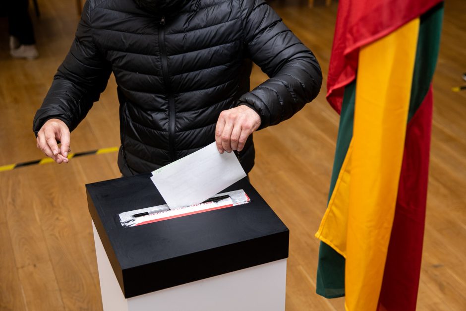 Teismas atidėjo sprendimo dėl Referendumo įstatymo paskelbimą