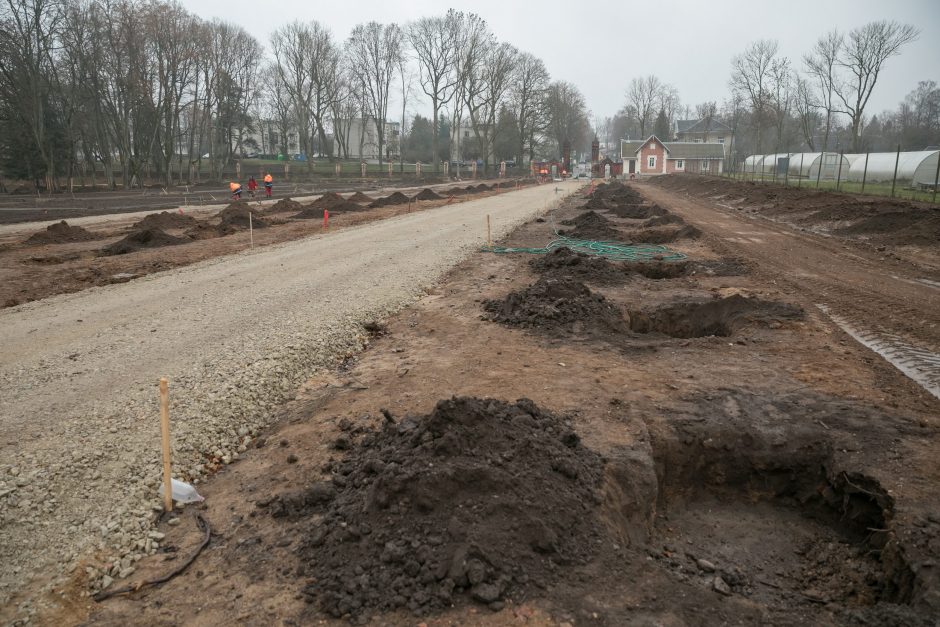 Trakų Vokės dvaras turės naujų liepų alėją