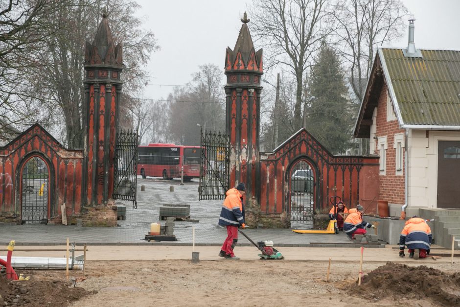 Trakų Vokės dvaras turės naujų liepų alėją