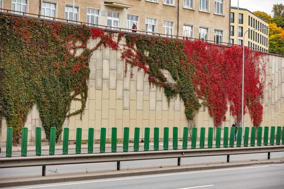 Sostinės žaliuosiuose planuose – milijonai naujų krūmų ir šimtai tūkstančių medžių