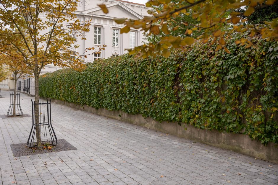 Sostinės žaliuosiuose planuose – milijonai naujų krūmų ir šimtai tūkstančių medžių