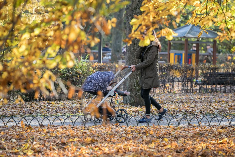 Zonos be dūmų: Vilniaus vaikų žaidimų aikštelėse nebeliks rūkalių