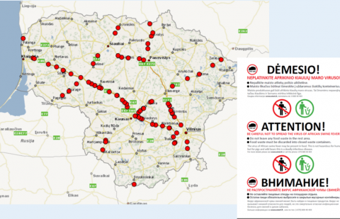 Apie kiaulių maro pavojų praneš informaciniai ženklai