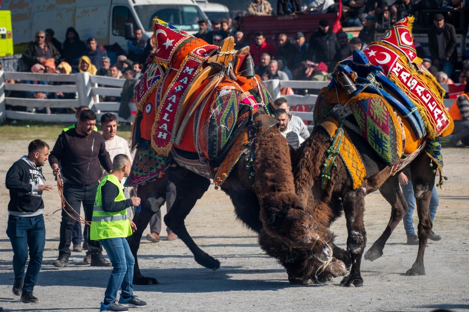 Į keliones po užsienį – nykstančių tradicijų pėdsakais