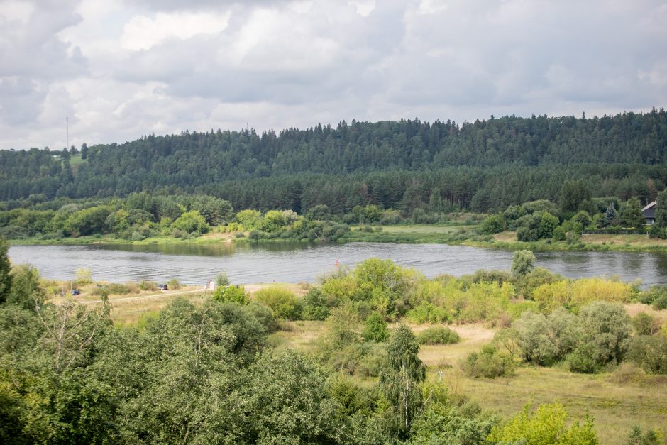 Žaliąsias erdves Kauno rajone puoselėja darbščios rankos