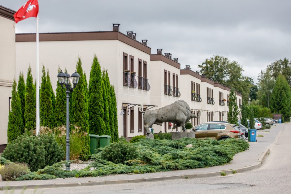 Plėtrą generuoja trikampis tarp Garliavos, pietinės Kauno ribos ir rajoninės reikšmės Rokų kelio