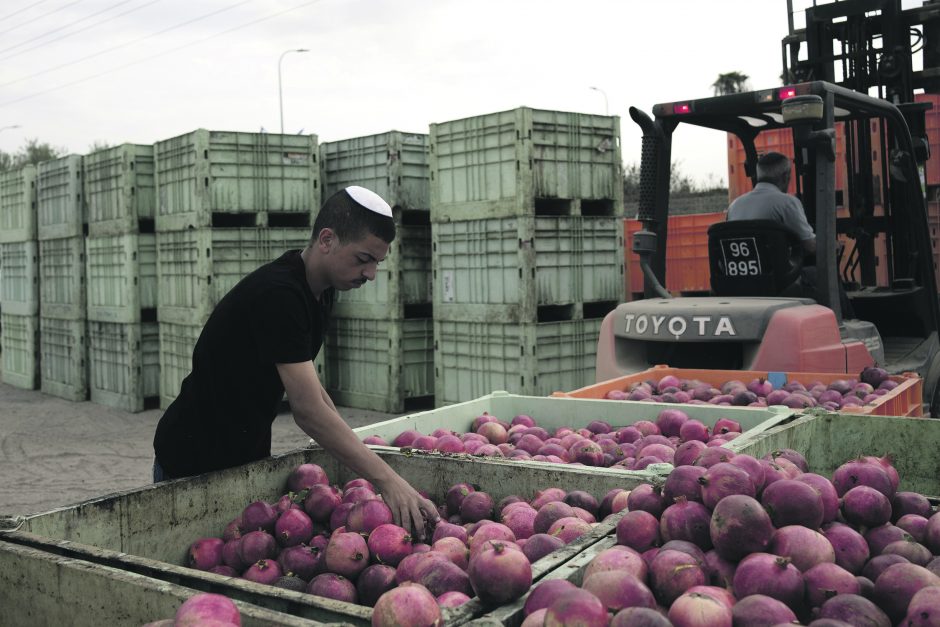 Izraelio ekonomikai – sunkios lygtys su daugybe nežinomųjų