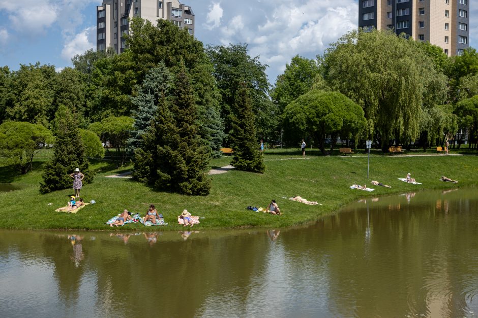 Kalniečių parke – skulptūrų galerija