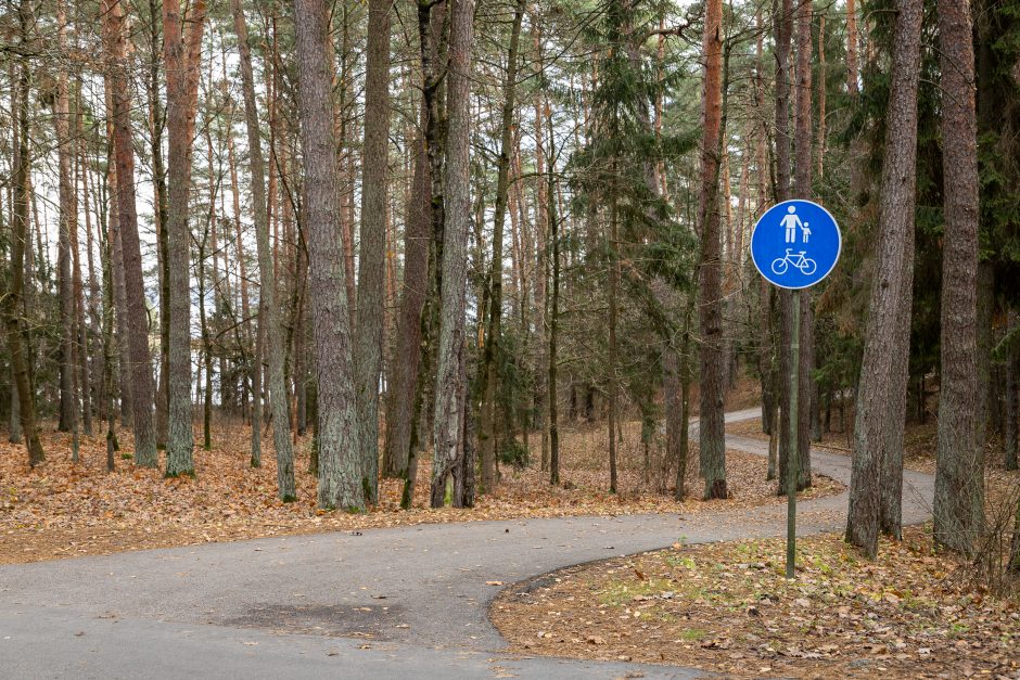 Trūksta žodžių: užvažiavo ant vaiko ir paliko kelkraštyje