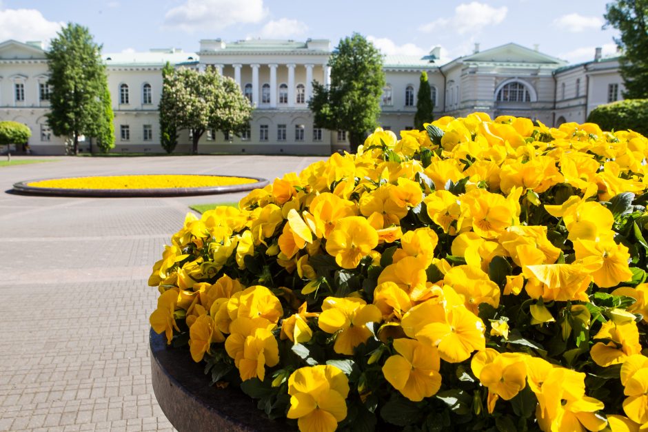 Kitą savaitę Vilnių papuoš dar daugiau įvairiaspalvių žiedų