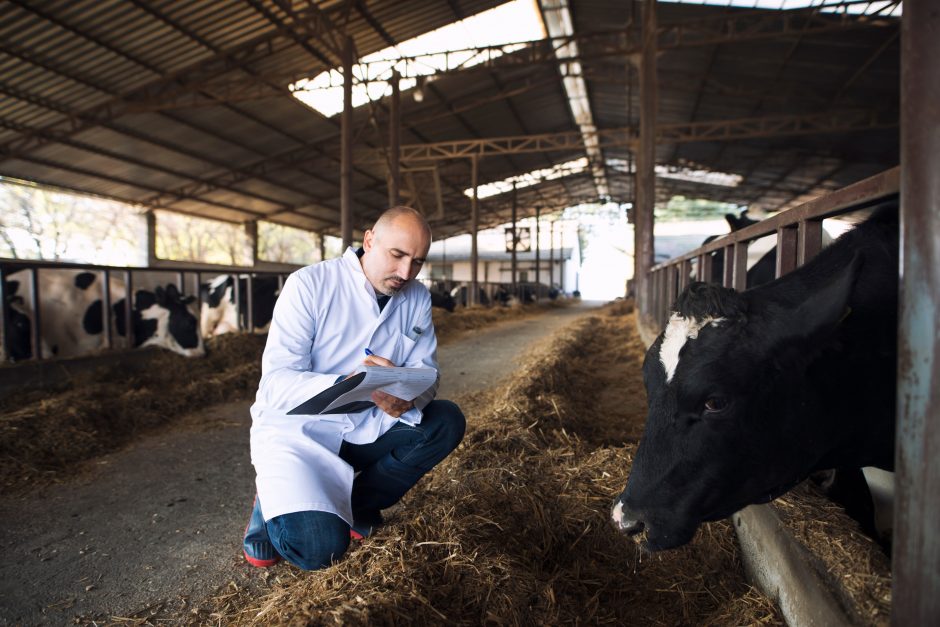 VMVT direktorius: Lietuvoje trūksta veterinarijos gydytojų