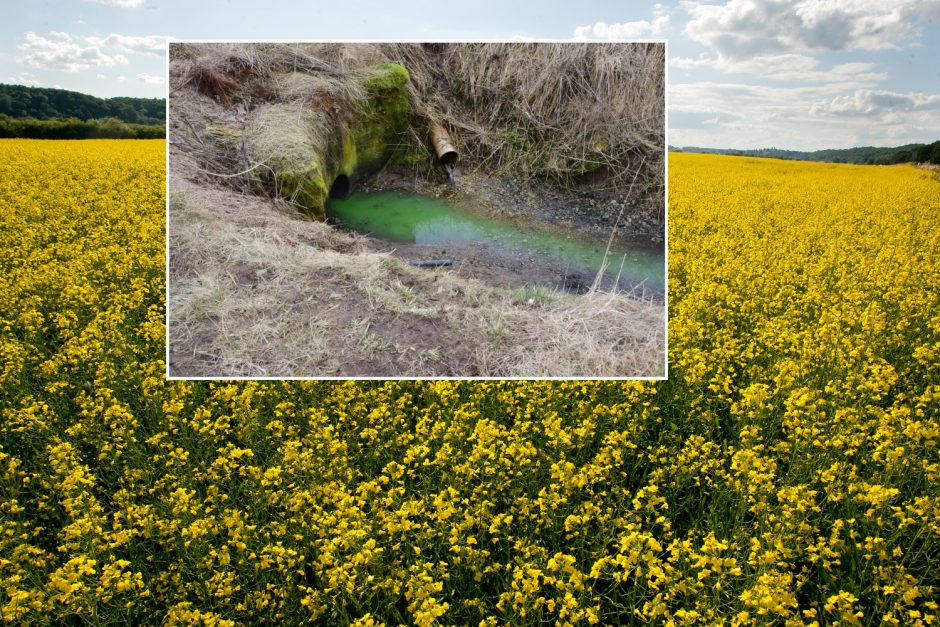 Tarša įtariama Mažeikių rajono įmonė: Aplinkos apsaugos departamentas klaidina visuomenę