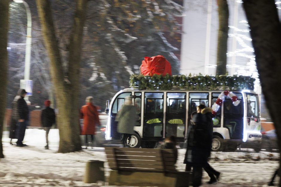 Jonavoje suspindo ne tik Kalėdų eglė – nušvito ir pasakiškas eglučių miestelis