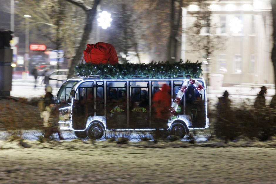 Jonavoje suspindo ne tik Kalėdų eglė – nušvito ir pasakiškas eglučių miestelis