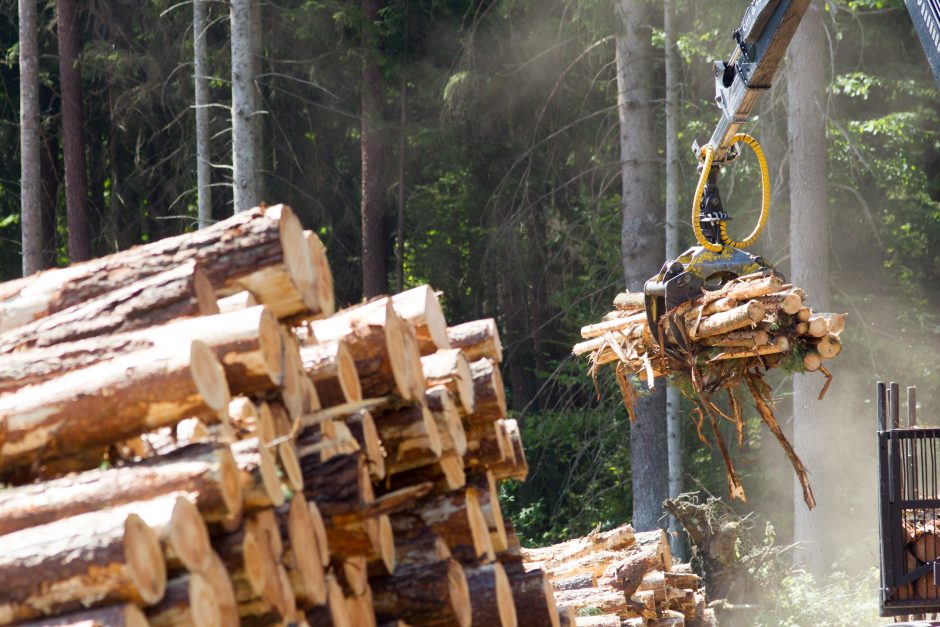 Tęsiami susisiekimo infrastruktūros darbai Žalgirio gatvėje: dalies medžių pašalinimo neišvengta