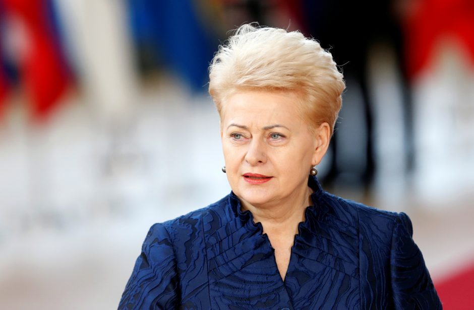 D. Grybauskaitė ragina Vyriausybę nepasiduoti populizmui