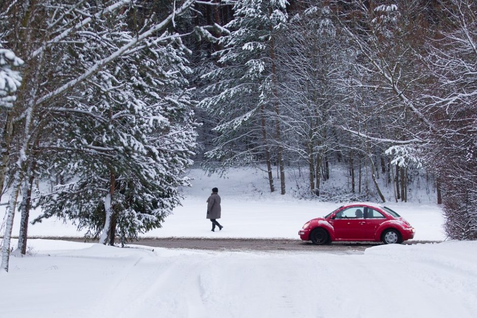 Tikrins iš miškų išvažiuojančius automobilius: Kalėdų stalą kai kurie gali pasipuošti baudomis