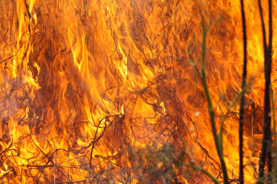 Per parą Lietuvoje kilo 50 žolės gaisrų: labiausiai nukentėjo Vilniaus apskritis