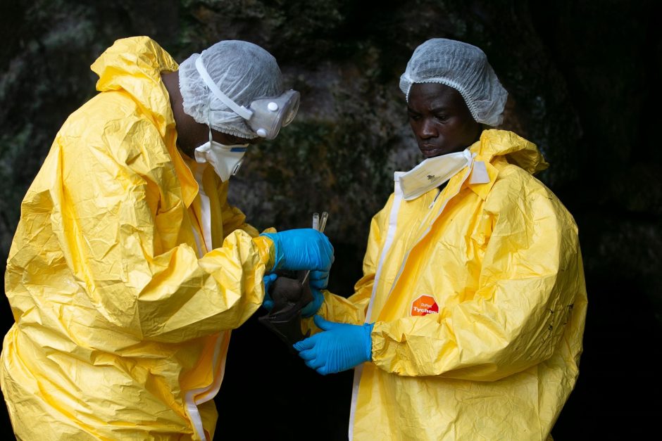Kongo Demokratinėje Respublikoje – naujas Ebolos viruso atvejis
