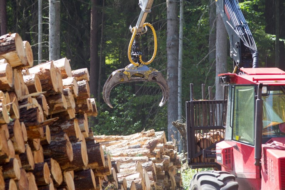 Už biokuro žaliavą perdirbėjams siūlomi papildomi valstybinės medienos limitai