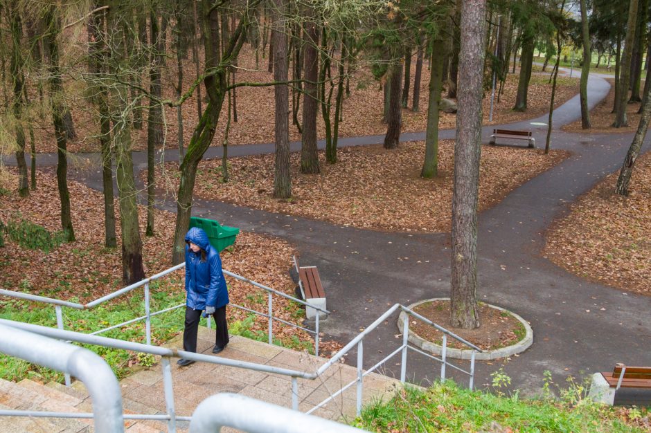 Kauniečiai iš nuostabos kraipo galvas: kur iš Panemunės šilo dingo biotualetai?